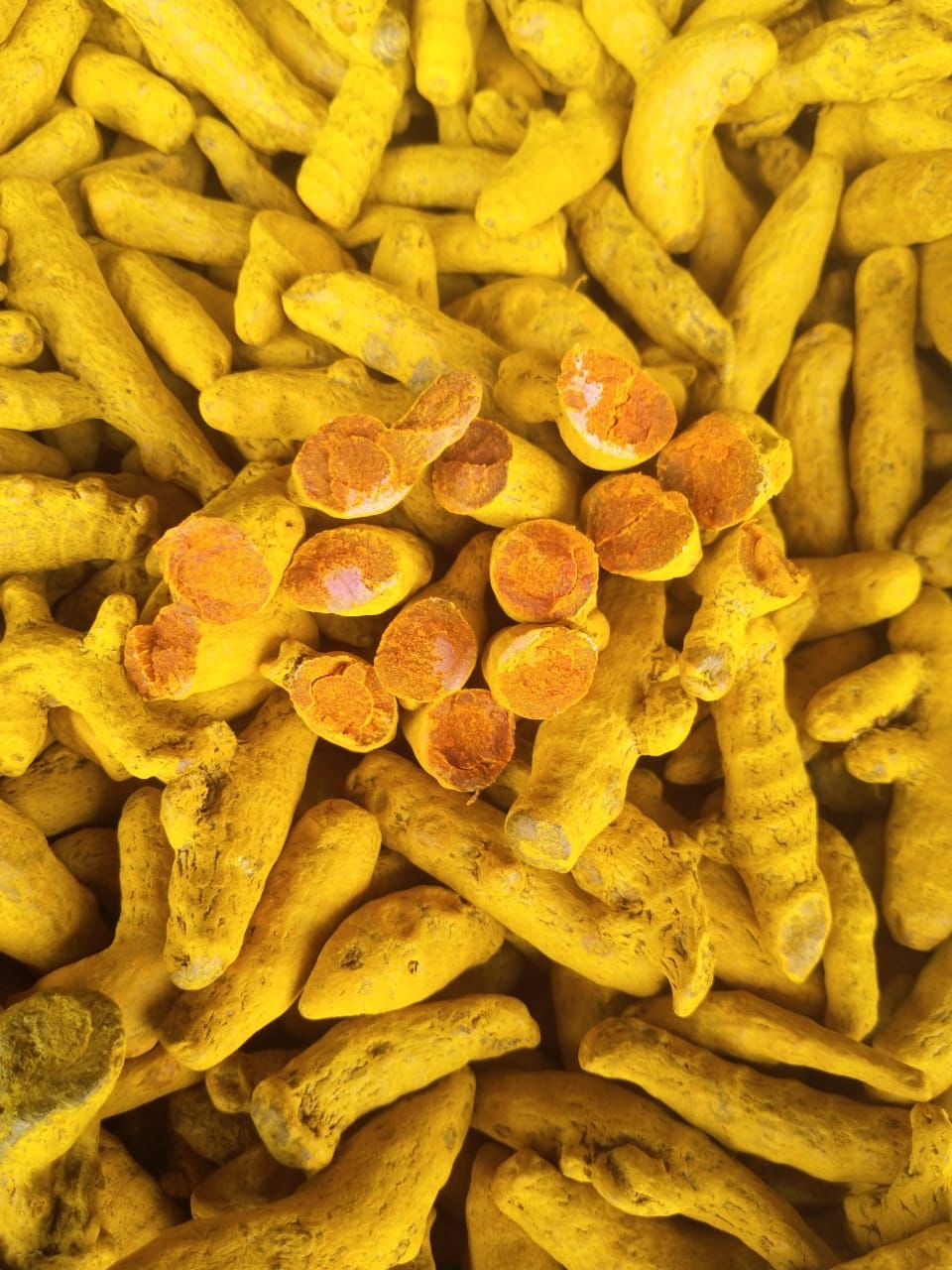 Turmeric Fingers