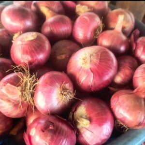 Fresh Red Onion