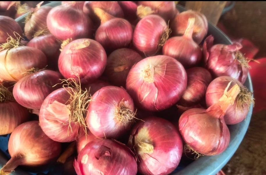 Fresh Red Onion