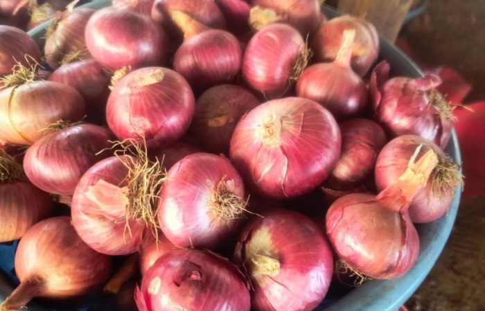 WhatsApp Image 2026-04-16 at 13.08.53 (1)