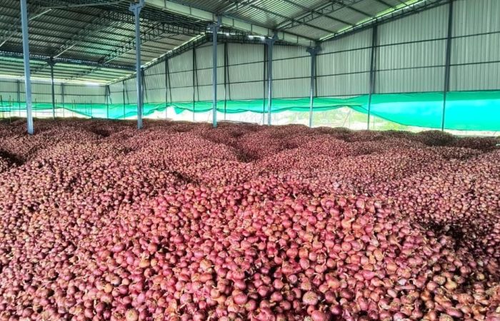 WhatsApp Image 2026-04-16 at 13.08.53 (2)